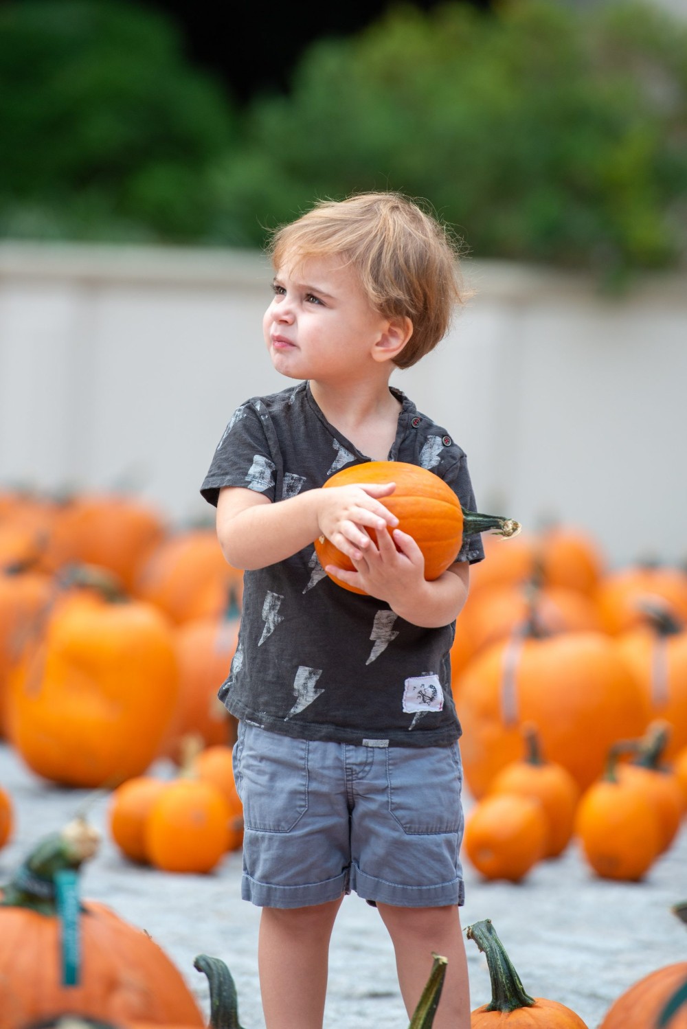 Dorsey Alston Pumpkin Giveaway