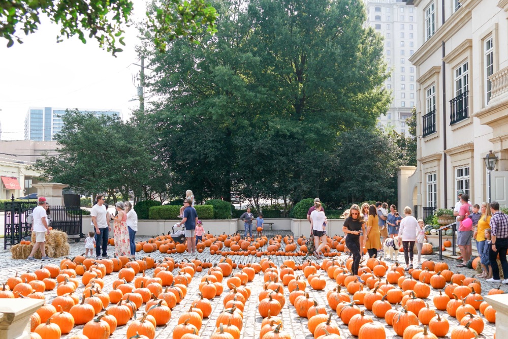 The Great Pumpkin