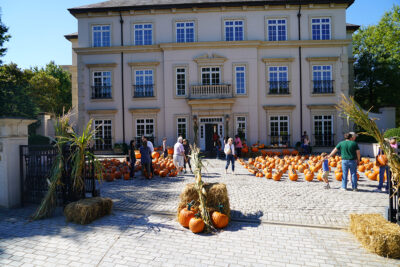 Annual Pumpkin Giveaway Is Our Halloween Tradition-2