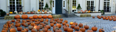 Annual Pumpkin Giveaway Is Our Halloween Tradition