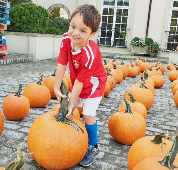 Pumpkin Patch